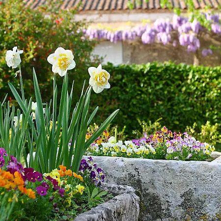 Hébergement de vacances La Chartreuse Du Maine *