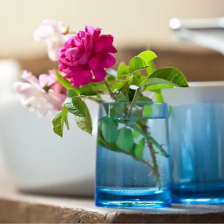 La Chartreuse Du Maine *