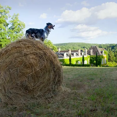 Hébergement de vacances La Chartreuse Du Maine