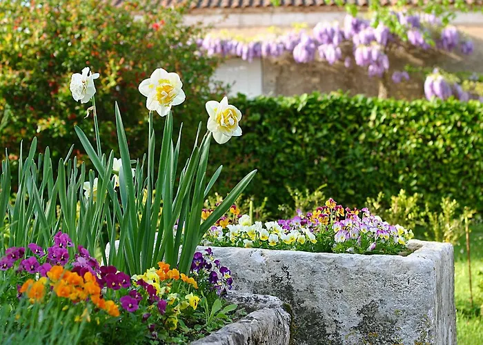 Nyaraló La Chartreuse Du Maine *
