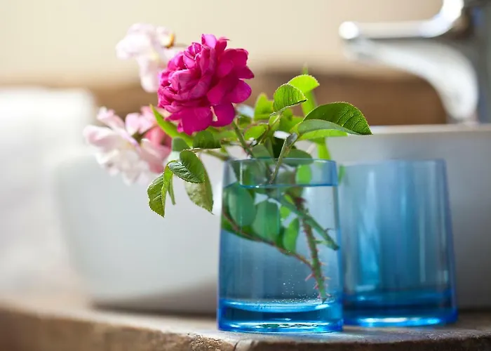 La Chartreuse Du Maine *