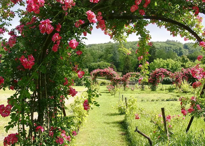 La Chartreuse Du Maine Nyaraló