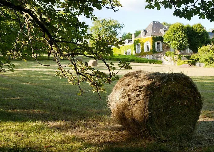La Chartreuse Du Maine