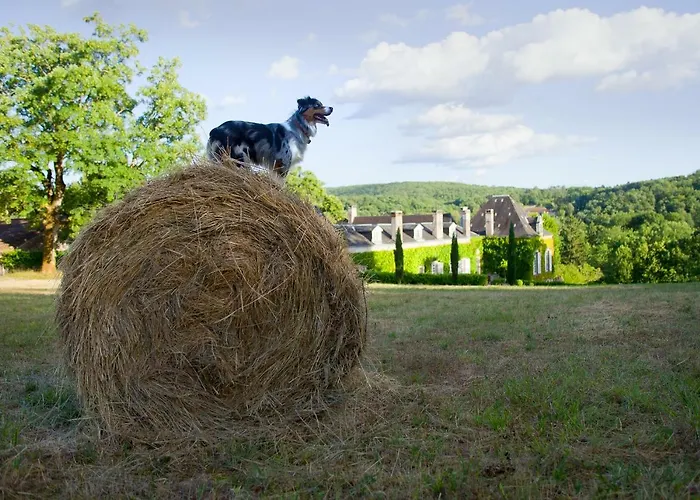 Prázdninový dům La Chartreuse Du Maine